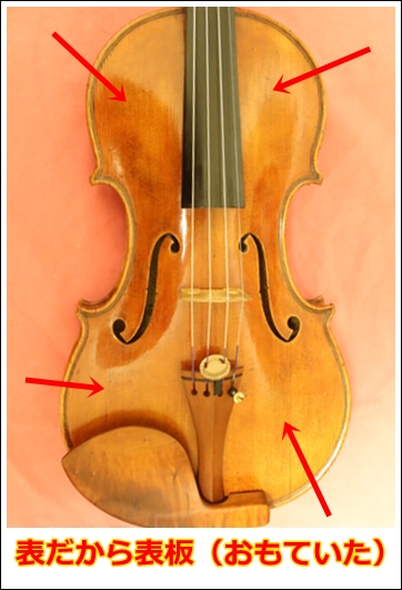 バイオリンの表板