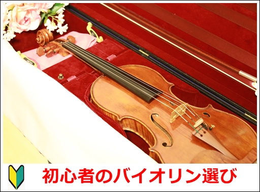 バイオリン初心者の楽器選び