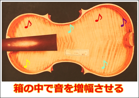 バイオリンの横板の役割